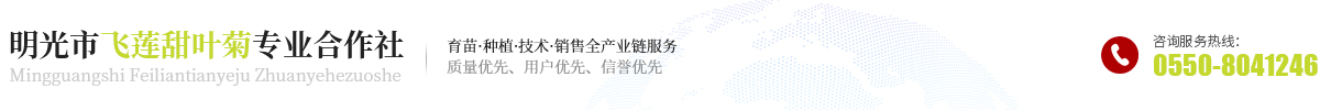 明光市飞莲甜叶菊专业合作社
